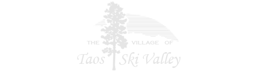 Taos-Logo-Gray-300x81-1